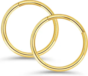 2pcs 6mm 316l Surgical Steel Nose Rings 16G Gold Nose Ring Hoop 16 Gauge Hinged Segment Septum Clicker Cartilage Helix Tragus Daith Rook Hoop Earrings Body Piercing Jewelry