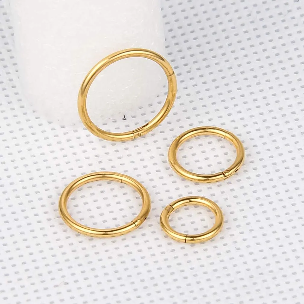 4Pcs 16G 18G 20G Surgical-Steel-Piercing-Ring-Nose-Rings-Hinged-Hoop-Earrings,6mm 8mm 10mm 12mm Seamless Stainless Steel Clicker Eyebrow Septum Piercing Hoop,Sliver Black Gold Rose Gold Rainbow Body Jewelry Set