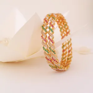 Bangle pair in Multi colour