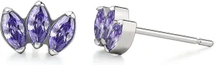 Limerencia Hypoallergenic G23 Pure Titanium Earrings | Crown Cubic Zirconia | F136 Implant Grade Piercing Studs| Suitable for Sensitive Ears Delicate Jewelry