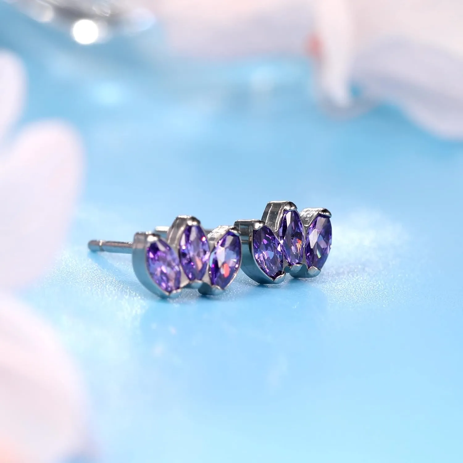 Limerencia Hypoallergenic G23 Pure Titanium Earrings | Crown Cubic Zirconia | F136 Implant Grade Piercing Studs| Suitable for Sensitive Ears Delicate Jewelry