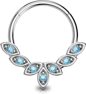 OUFER Septum Rings 16G, 316L Stainless Steel Septum Rings Hoops, Cluster CZ Hinged Segment Daith Helix Piercing Jewelry For Women And Men